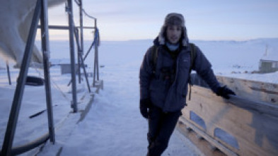 Imagen de Sol a Groenlàndia - 5