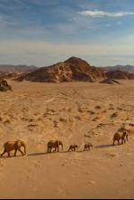 Imagen de El Kalahari, la...: Ep.2 - 4