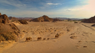Imagen de El Kalahari, la...: Ep.2 - 5