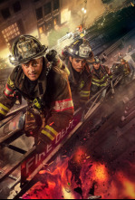 Imagen de Chicago Fire (T13): Ep.4 A través de la piel - 9