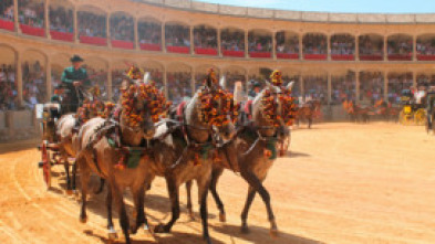 Imagen de I Concurso Internacional de Enganches en Ronda - 5