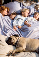 Imagen de Míos, tuyos, nuestros - 4