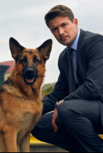 Imagen de Hudson y Rex (T1): Ep.1 La Caza - 4