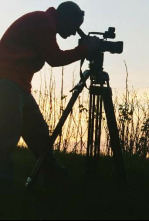 Imagen de El proyector - 4