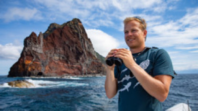 Imagen de Delfines en primer plano con Bertie Gregory - 6