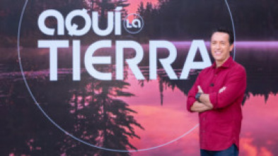 Imagen de Aquí la Tierra - 14