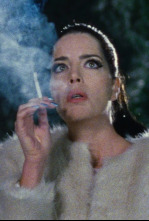 Imagen de Diamantino - 4