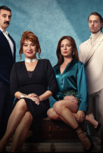 Imagen de Amor sin límite - 4