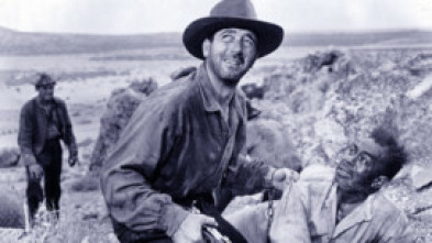 Imagen de Pasaje al Oeste - 5
