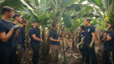 Imagen de Yo soy de formación...: Pais Vasco/Navarra - 5