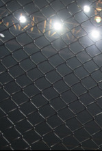 Imagen de UFC 1: The Beginning - 4