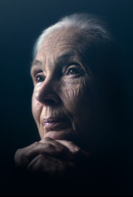 Imagen de Jane Goodall: La gran esperanza - 10