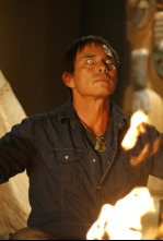 Imagen de Zorro negro - 4