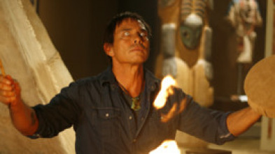 Imagen de Zorro negro - 5