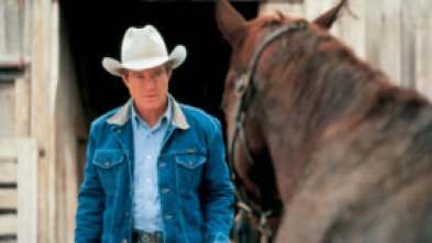 Imagen de El hombre que susurraba a los caballos - 5