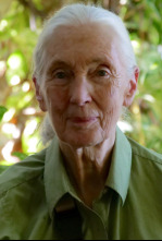 Imagen de Jane Goodall: nueva generación - 4