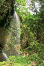 Imagen de El escarabajo verde: Sombra aquí, sombra allá - 4