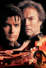 Imagen de El principiante - 4