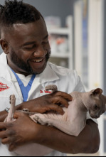 Imagen de Critter Fixers: Veterinarios rurales: Felinos felices - 4