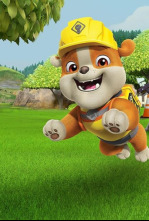 Imagen de Equipo Rubble (T3): El equipo construye una clínica veterinaria - 4