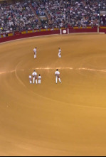 Imagen de XXV Campeonato de España Goyesco de recortes con toros - 4