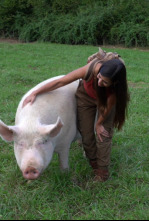 Imagen de ¡Qué animal! (T5) - 4