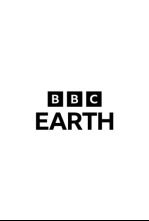 Imagen de Fauna letal  - 1