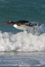 Imagen de Recorriendo el mundo  - 4