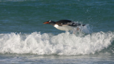 Imagen de Recorriendo el mundo  - 5