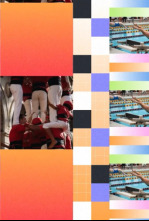 Imagen de Efecte mosaic (T1): Episodi 285 - 4