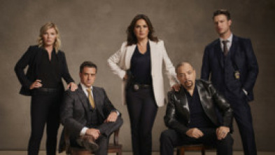 Imagen de Ley y orden:... (T18): Ep.10 Amor maternal - 5