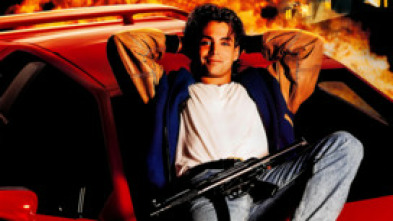 Imagen de Agente juvenil - 5