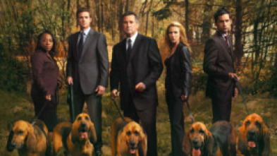 Imagen de Sin rastro (T4): Ep.11 Sangre por sangre - 5