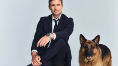 Imagen de Hudson & Rex (T3): Ep.12 Perro jefe - 10