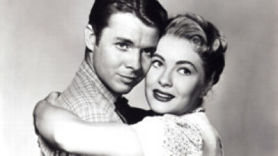 Imagen de Honor y venganza - 5