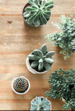 Imagen de Yo vivo en (T1): Una casa cueva - 4