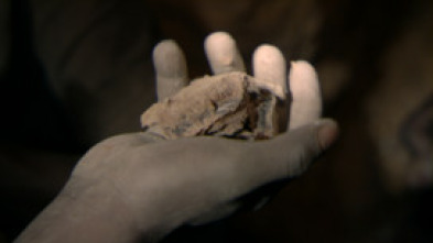 Imagen de La batalla por el cobalto - 5