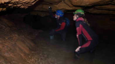 Imagen de A cavall dels temps - 5