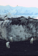 Imagen de La Antártida desde el aire - 4