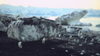 Imagen de La Antártida desde el aire - 5