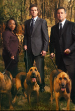 Imagen de Sin rastro (T4): Ep.22 Requiem - 4