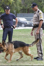 Imagen de C.S.I.: Las Vegas (T13): Ep.5 Una vez mordido - 4