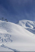 Imagen de Skate America (25/26): Danza - Programa libre - 4