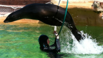 Imagen de Animales en familia - 5