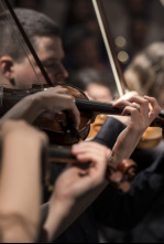 Imagen de Sonata Para Andres Isasi - 4