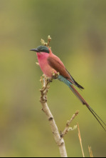 Imagen de Edén: paraísos remotos  - 4