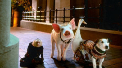 Imagen de Babe: El cerdito en la ciudad - 7