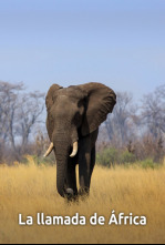 Imagen de La llamada de África - 4