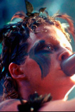 Imagen de La selva esmeralda - 4