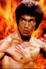 Imagen de Operación Dragón - 4